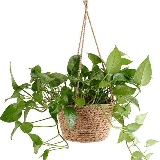 Vaso de planta suspenso - basket Decor