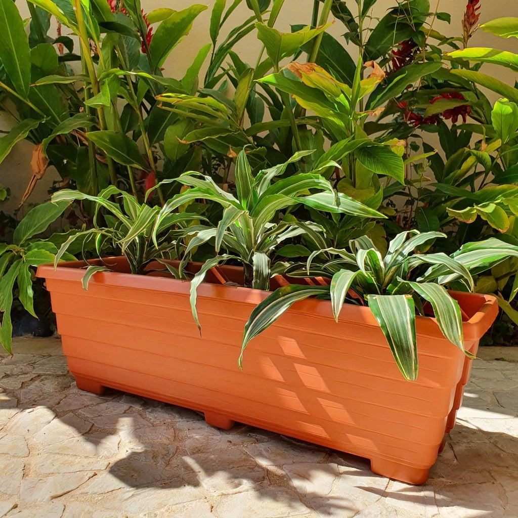 Vaso para Plantas de Jardim